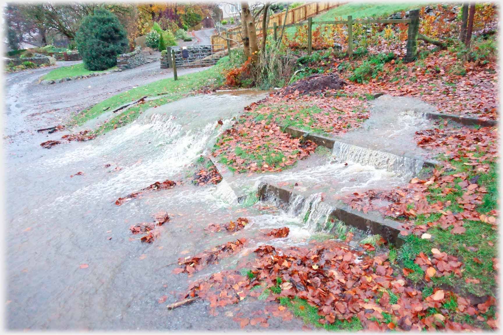 Steps and slope at roadside, beech leaves, water flowing down steps and from slope.