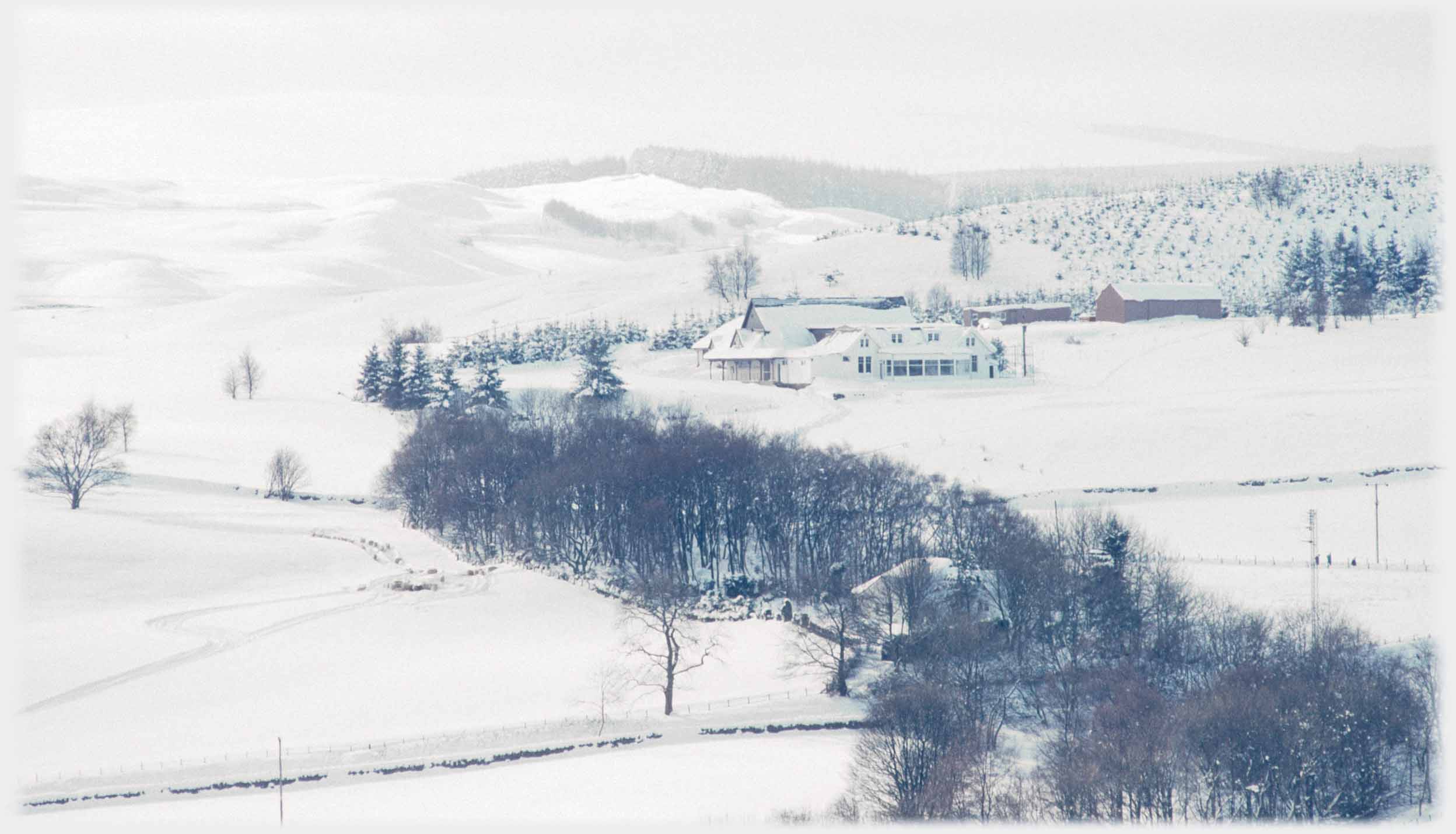 Snowed landscape, trees in foreground building beyond.