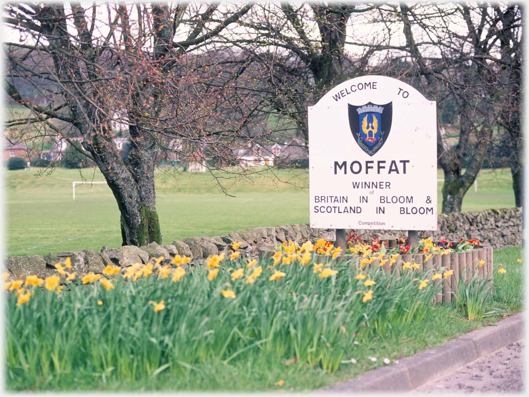 Welcome to Moffat sign, daffodils, dyke playing field beyond.