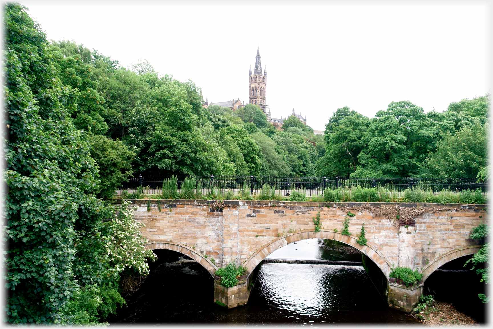 Bridge covered in wild plants, trees all around, and tower in background.