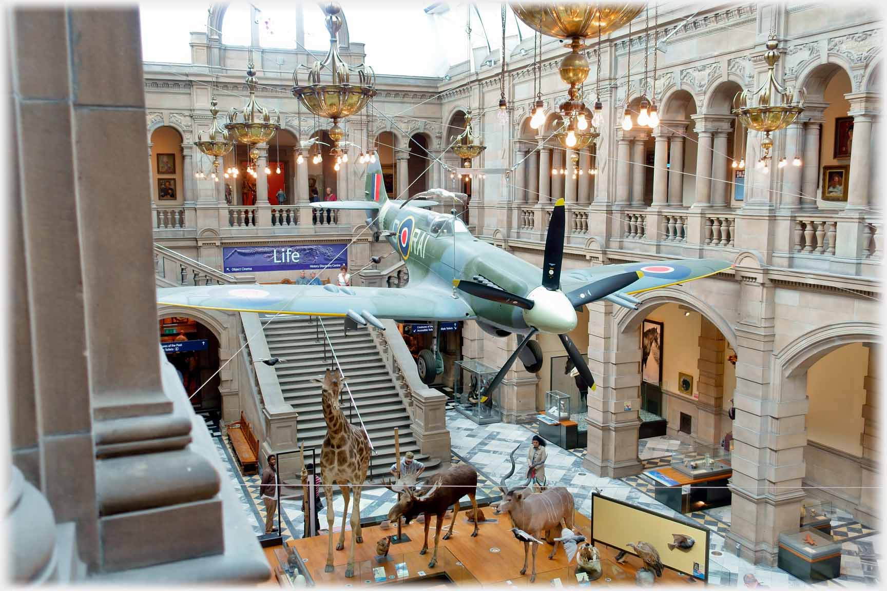 Aircraft hanging in hall facing camera, stuffed animals below.