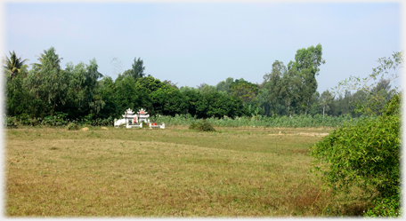 Field Grave