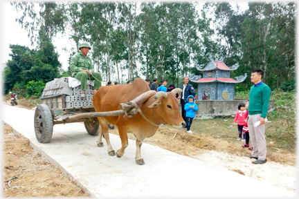 A passing ox-cart.