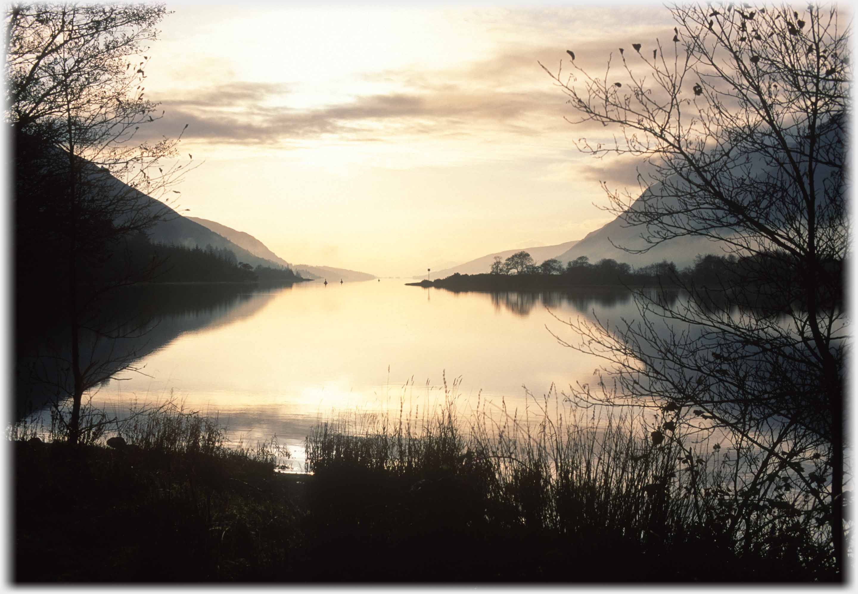 Looking down loch in warm evening light, grasses and trees silhouetted.