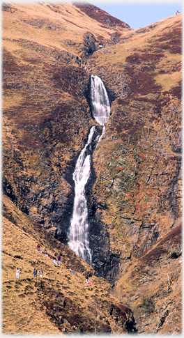 Grey Mare's tail in autumn.