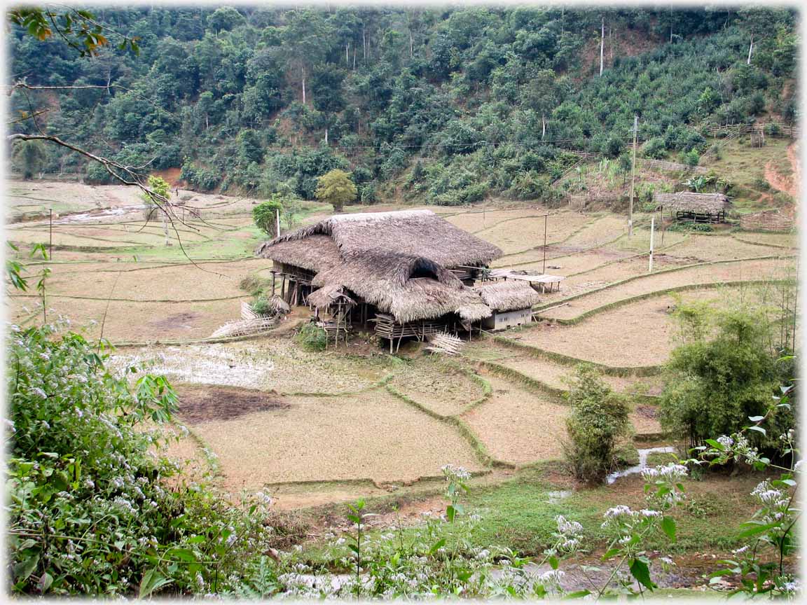 Complex thatched roof of a house in fields with pond.