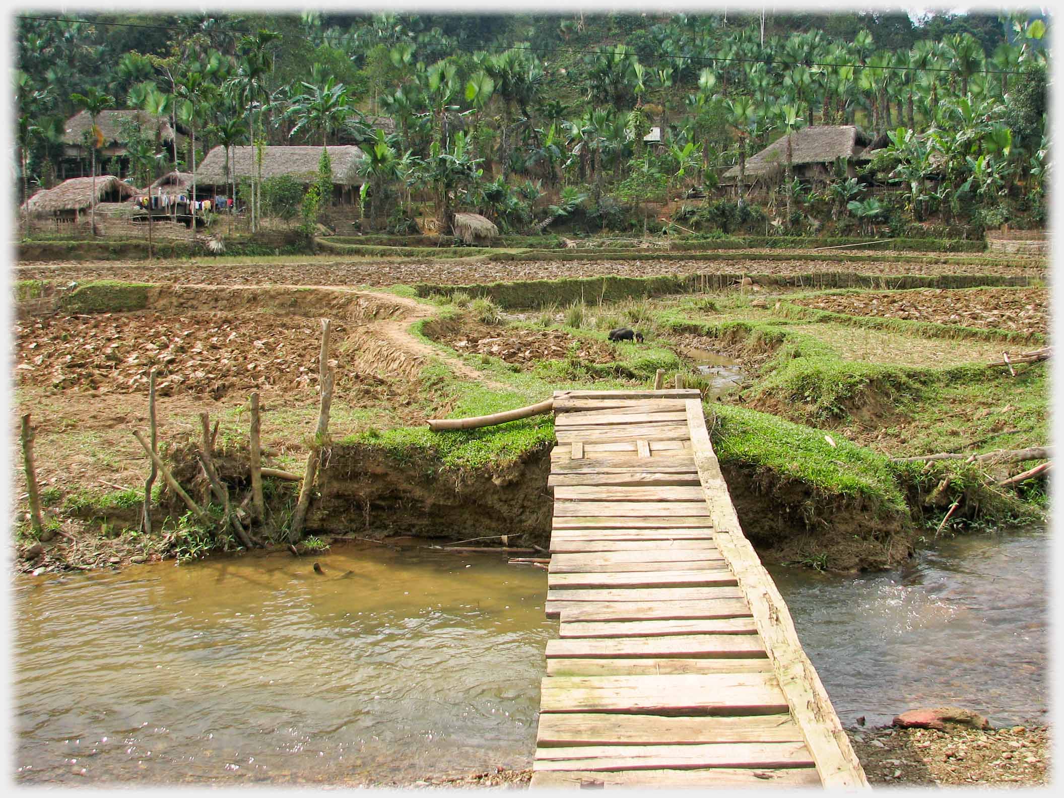Small wooden bridge pointing towards group of houses across fields.
