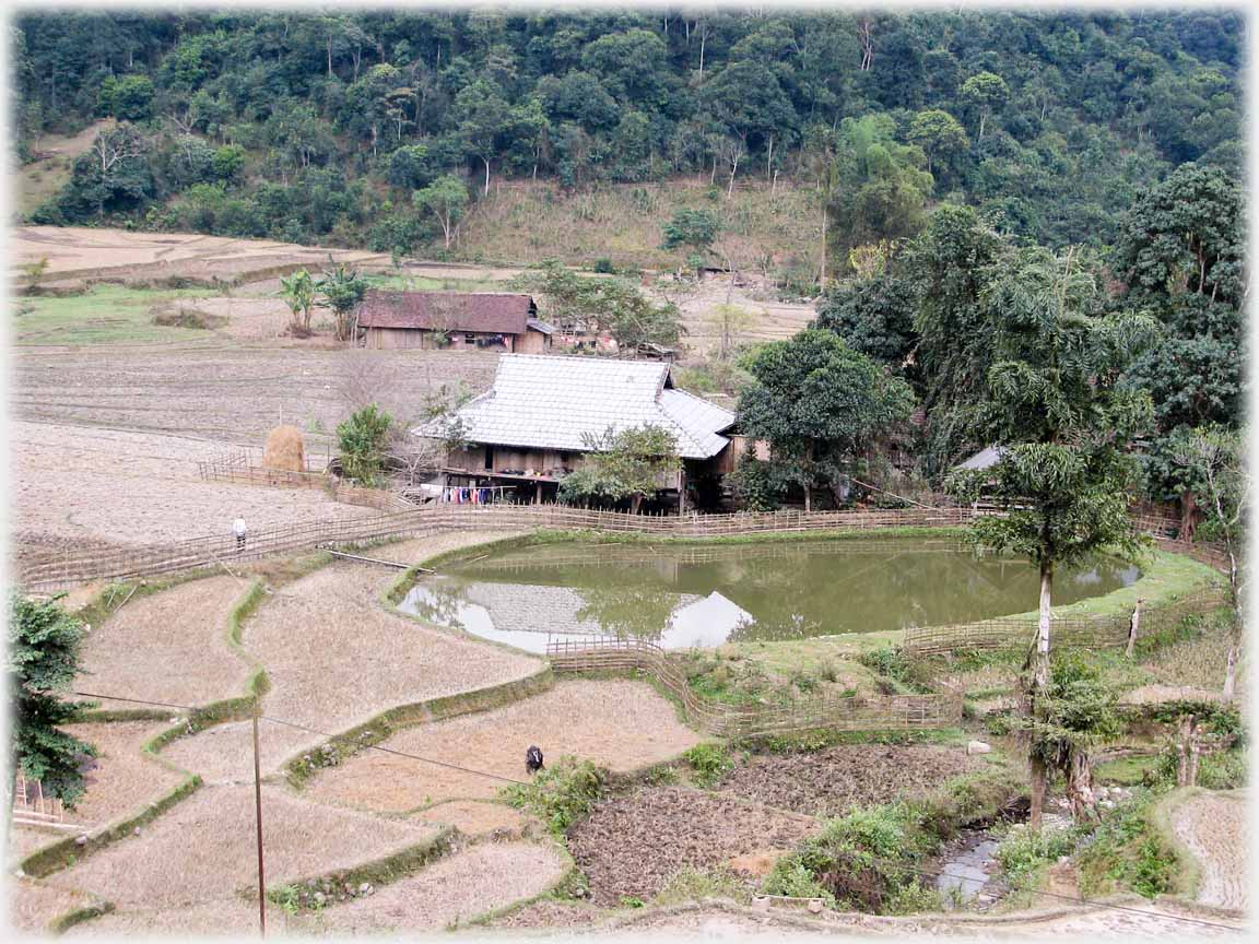 House with light coloured roof next to pond and terraces.
