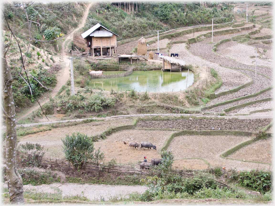 House on steep bank with pond.