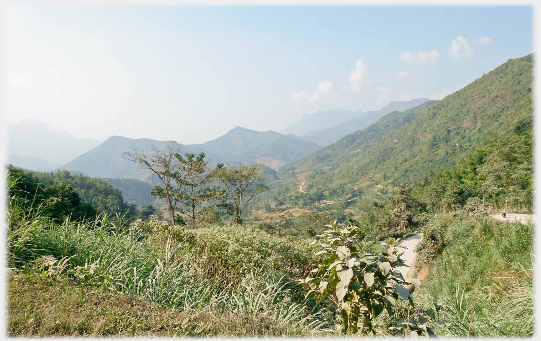 Foreground plant covered in dust, wide valley with distant hills.