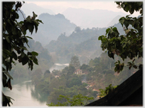 Looking down at river with houses beside it from between trees.