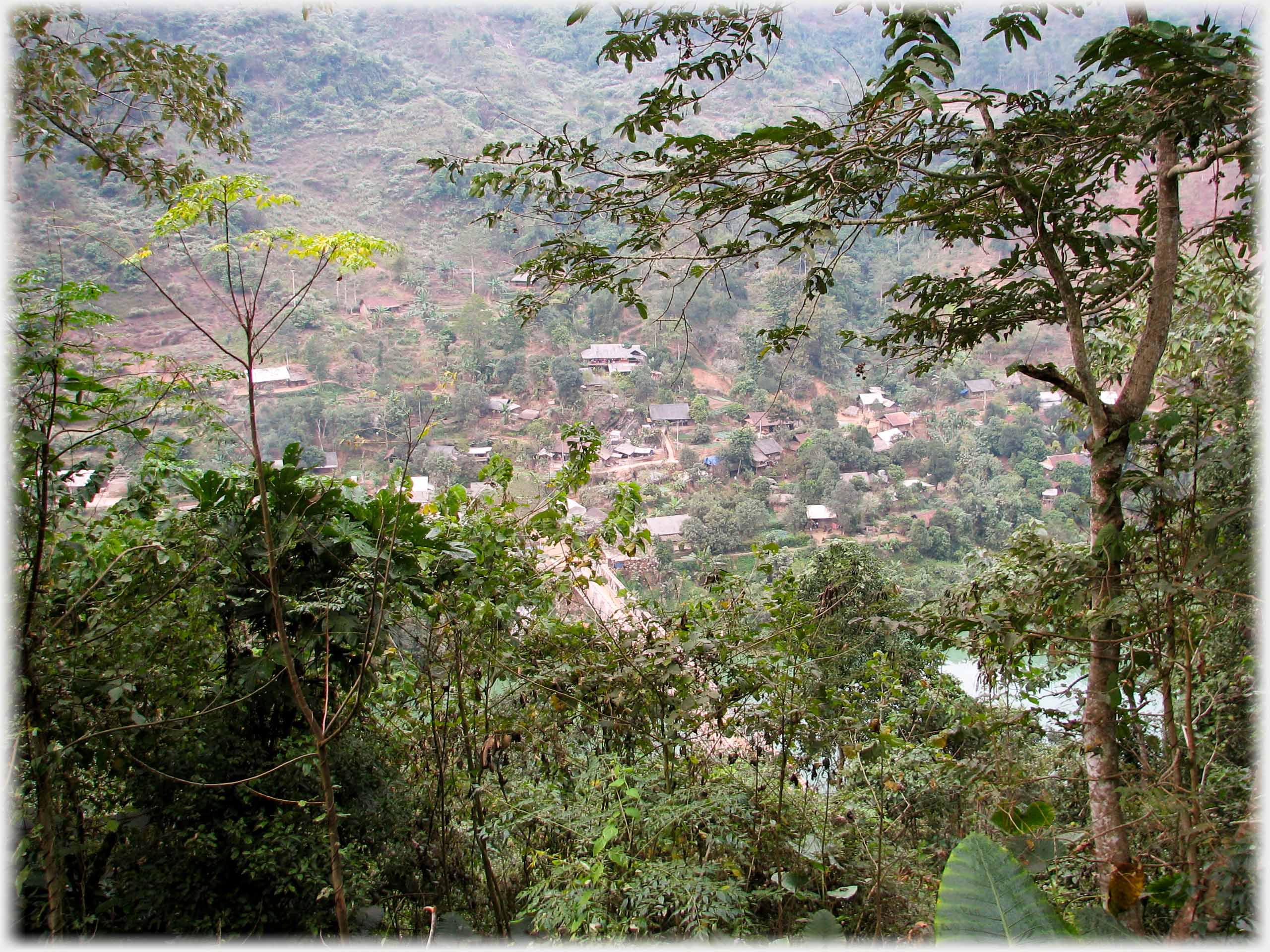 Looking down between trees at village below.
