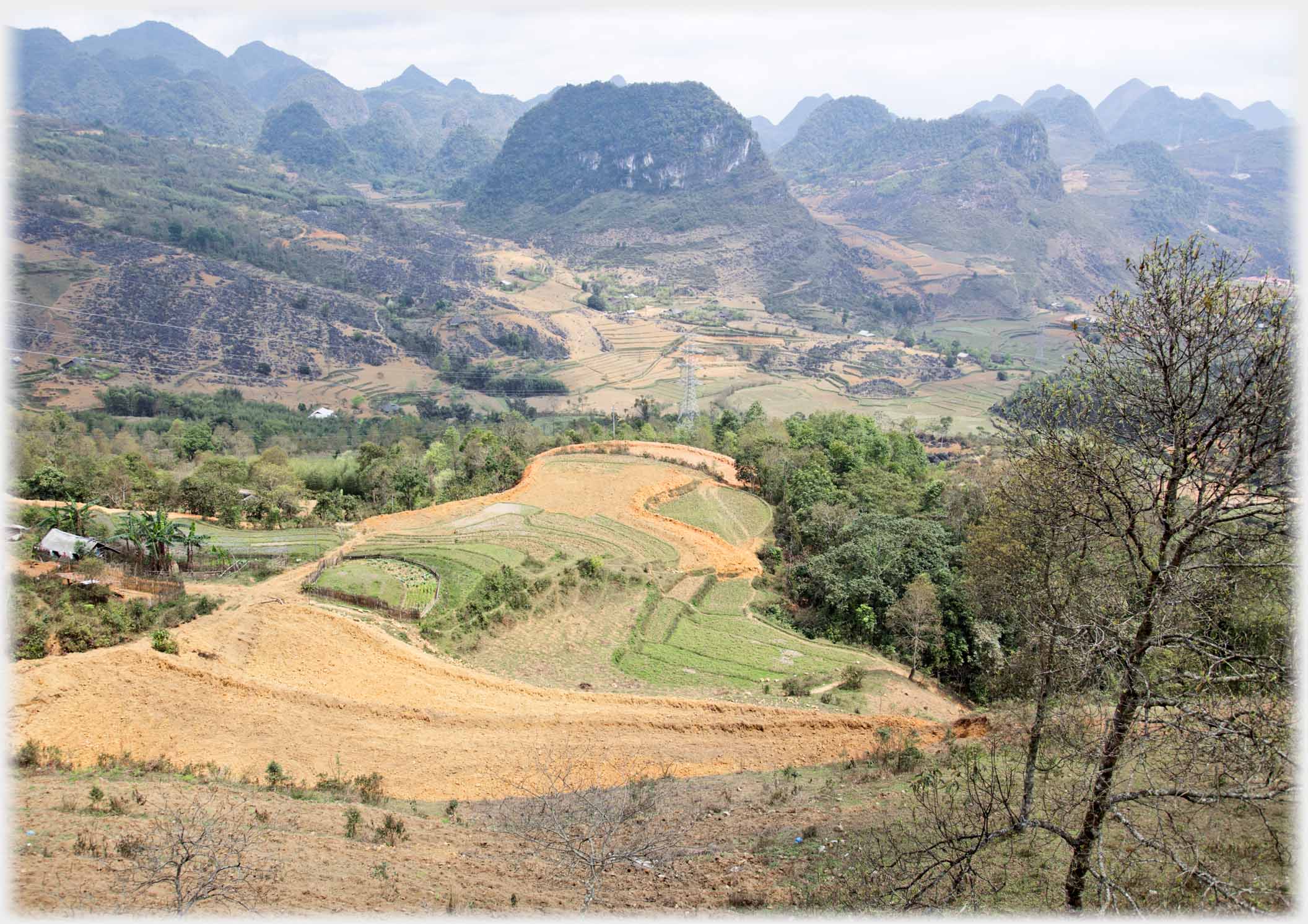 Tongue of orange coloured fields between woods in wide valley with karst backdrop.