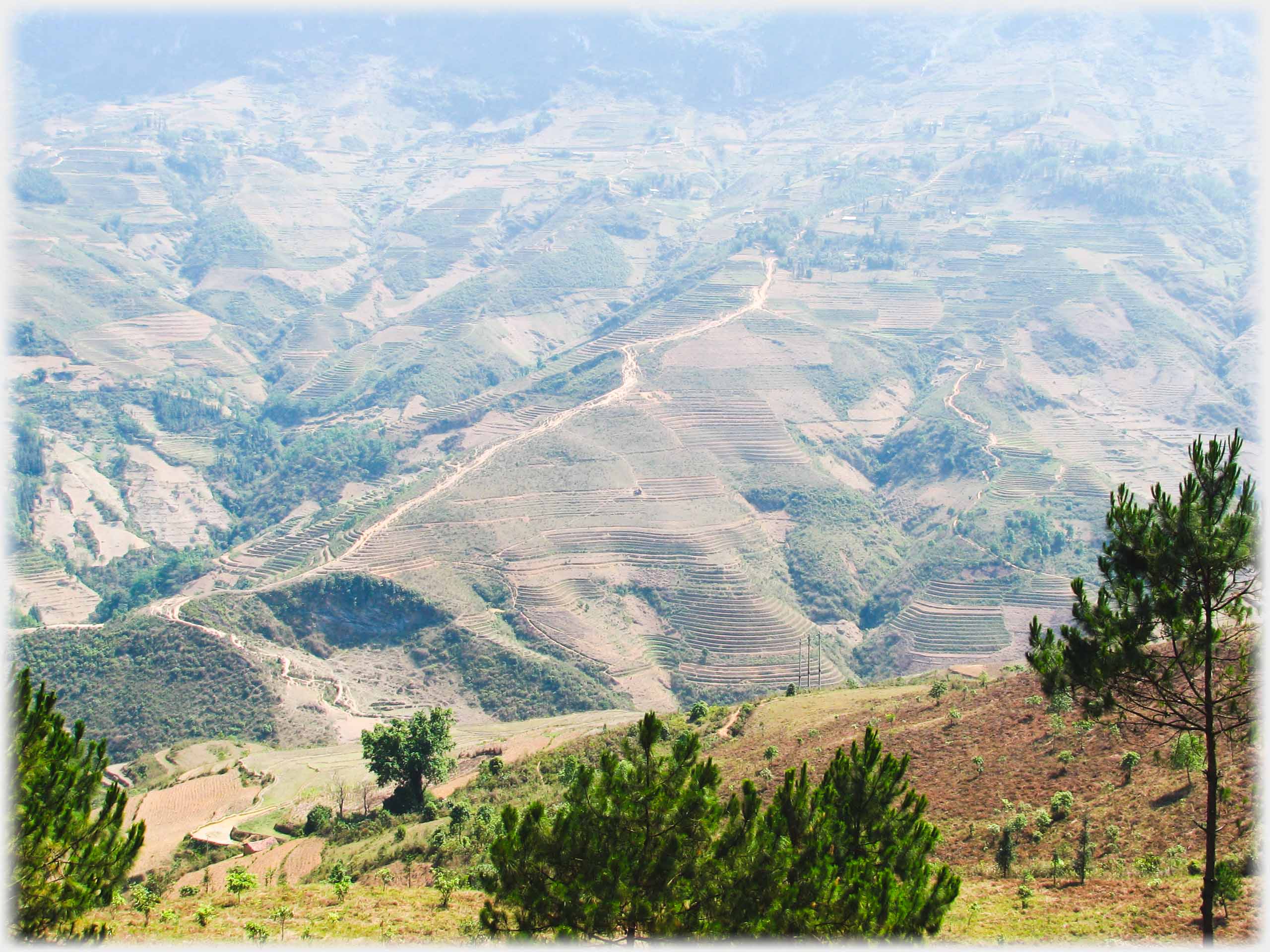Looking down on a ridge with road on its top and terraces either side.