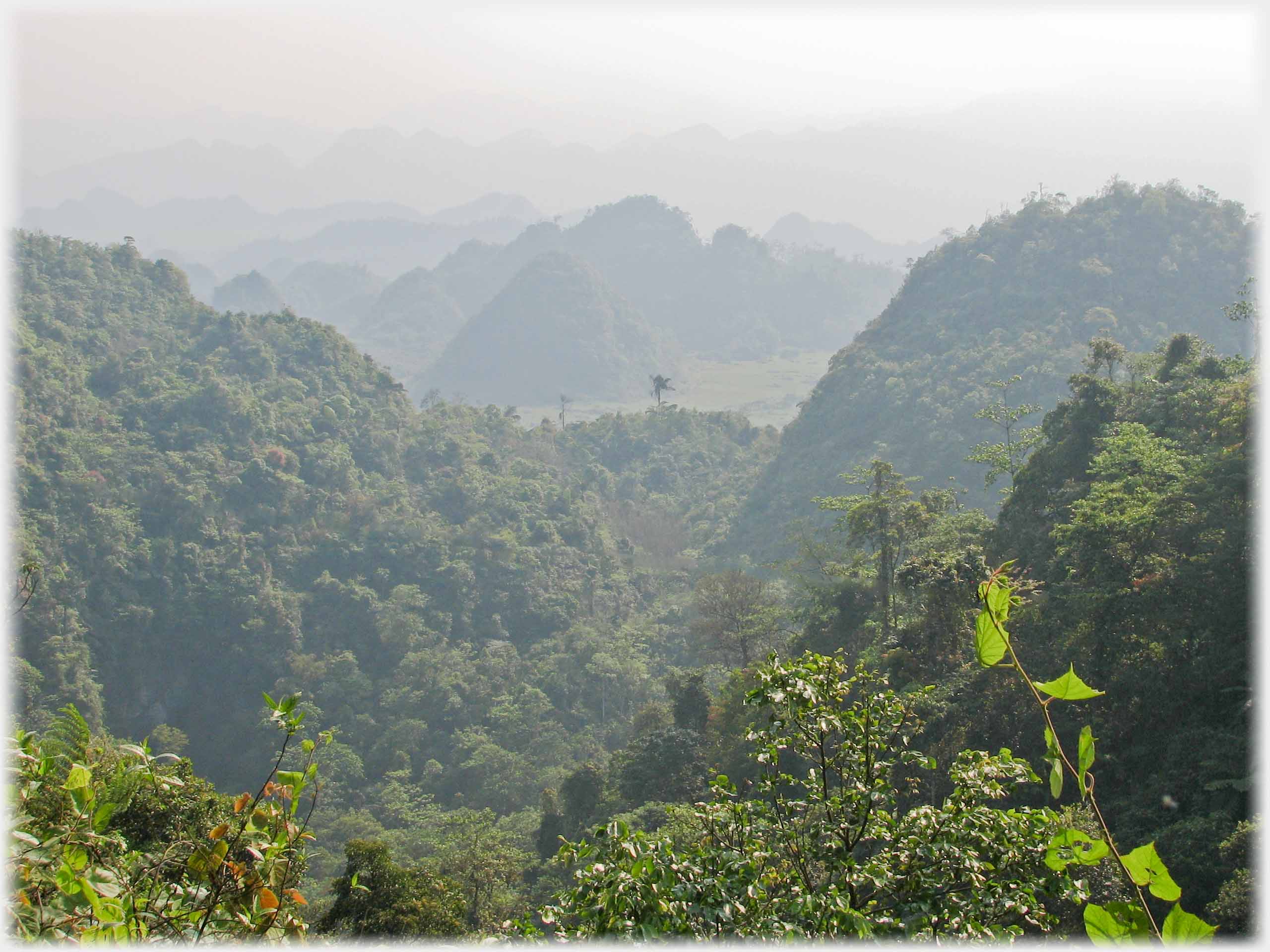 Treed steep hills with ranks of hills beyond and single tree in cleft.