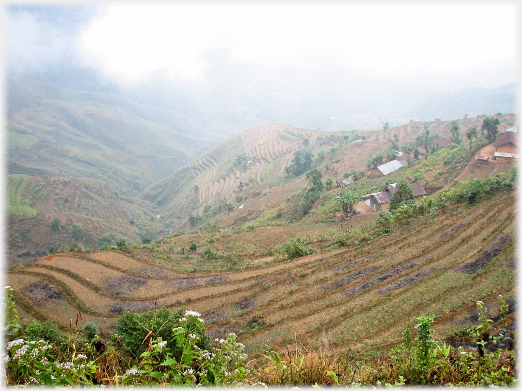 Clouds coming into valley below with trees, houses and terraces to one side.