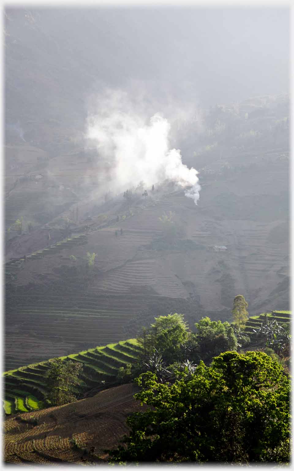 Smoke from house catching the light above terraces.
