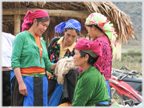 Four women examining a scheen of fibres.