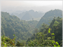 Ranks of tree covered hills into the distance.
