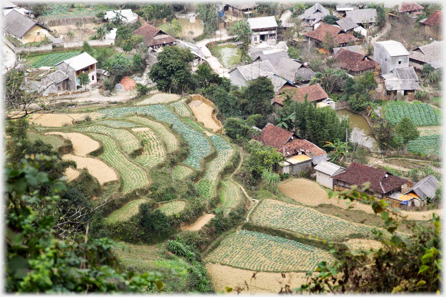 Looking down on village roofs with terraces beside houses.