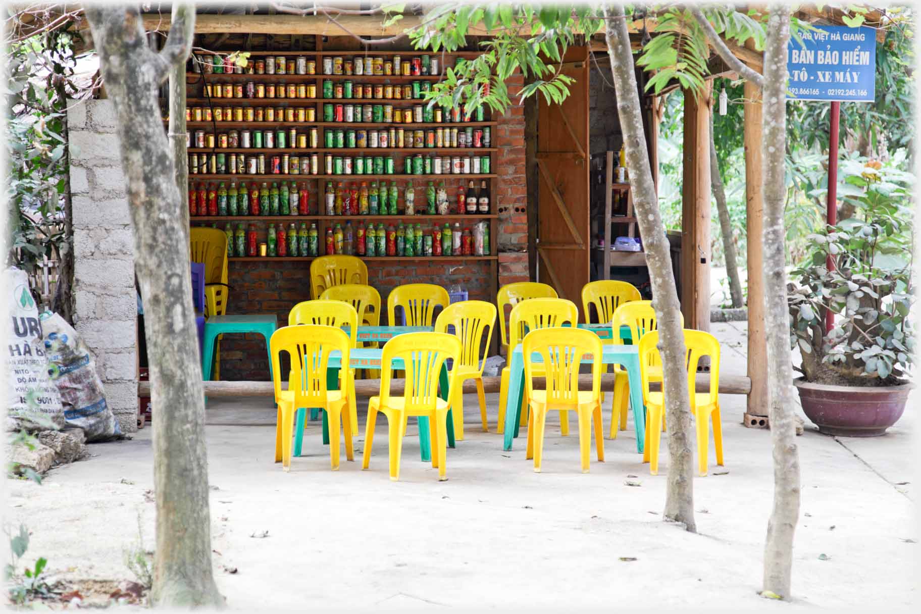 Yellow plastic cahirs set out by green tables, behind seven long shelves of neatly packed used cans and cartons.