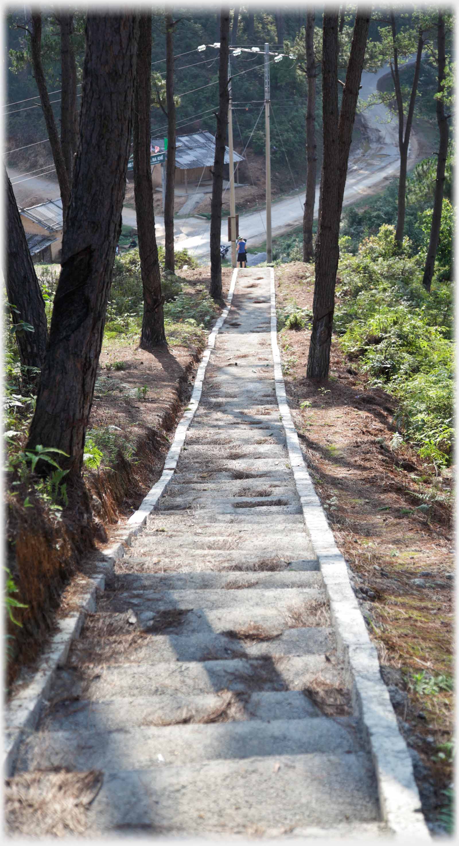 Long set of steps away down hillside.