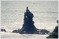 Sea stack with bird atop.