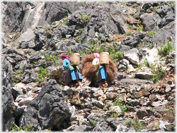 Two women amongst rocks with back-baskets.