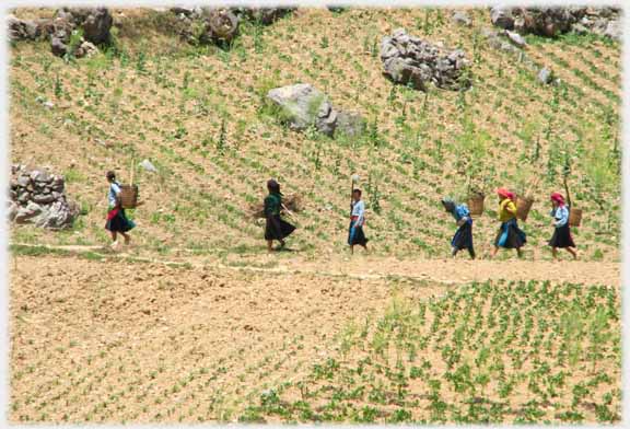 A sideways view of the six women crossing the fields.
