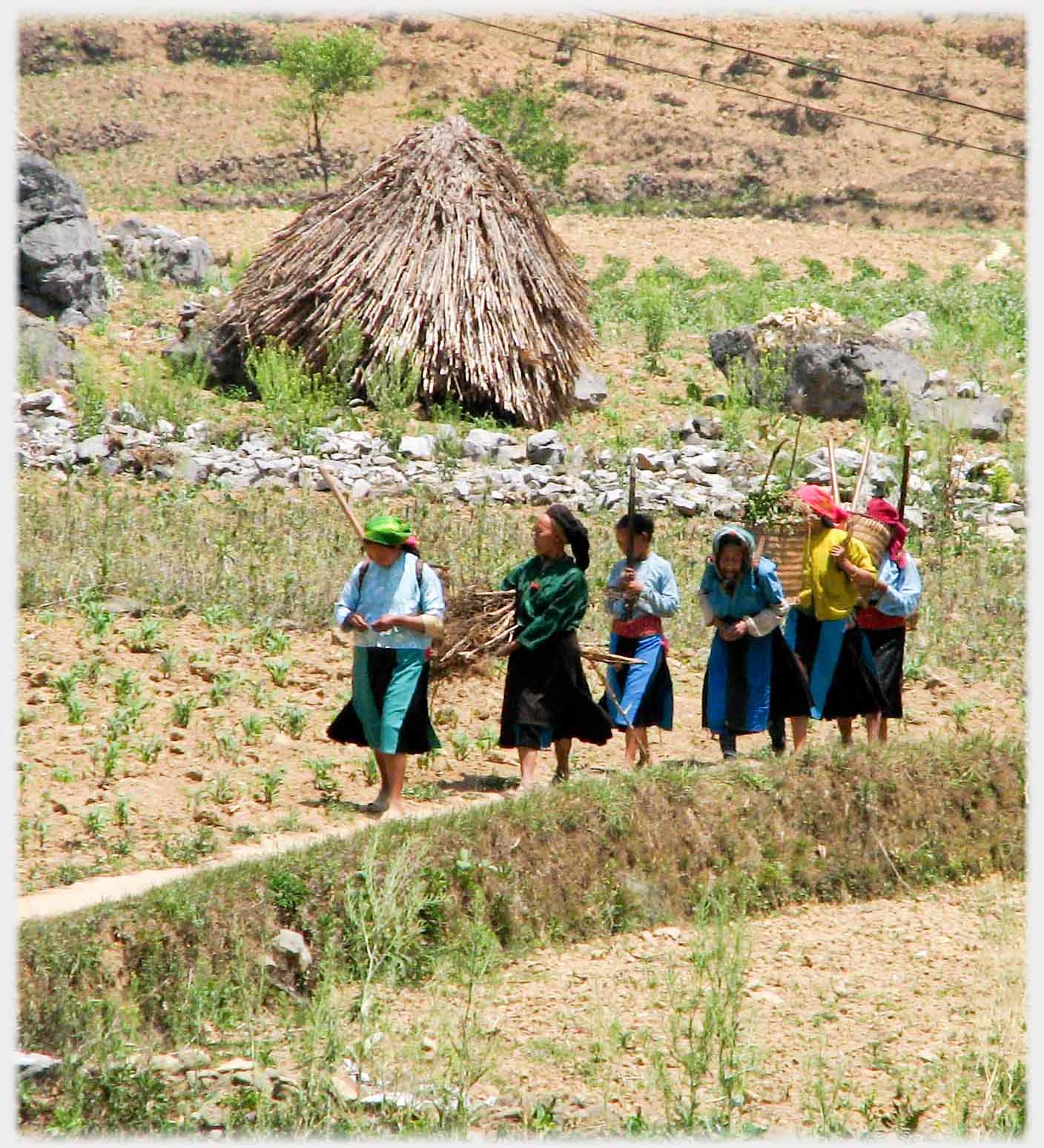 Line of six women walking between fields.