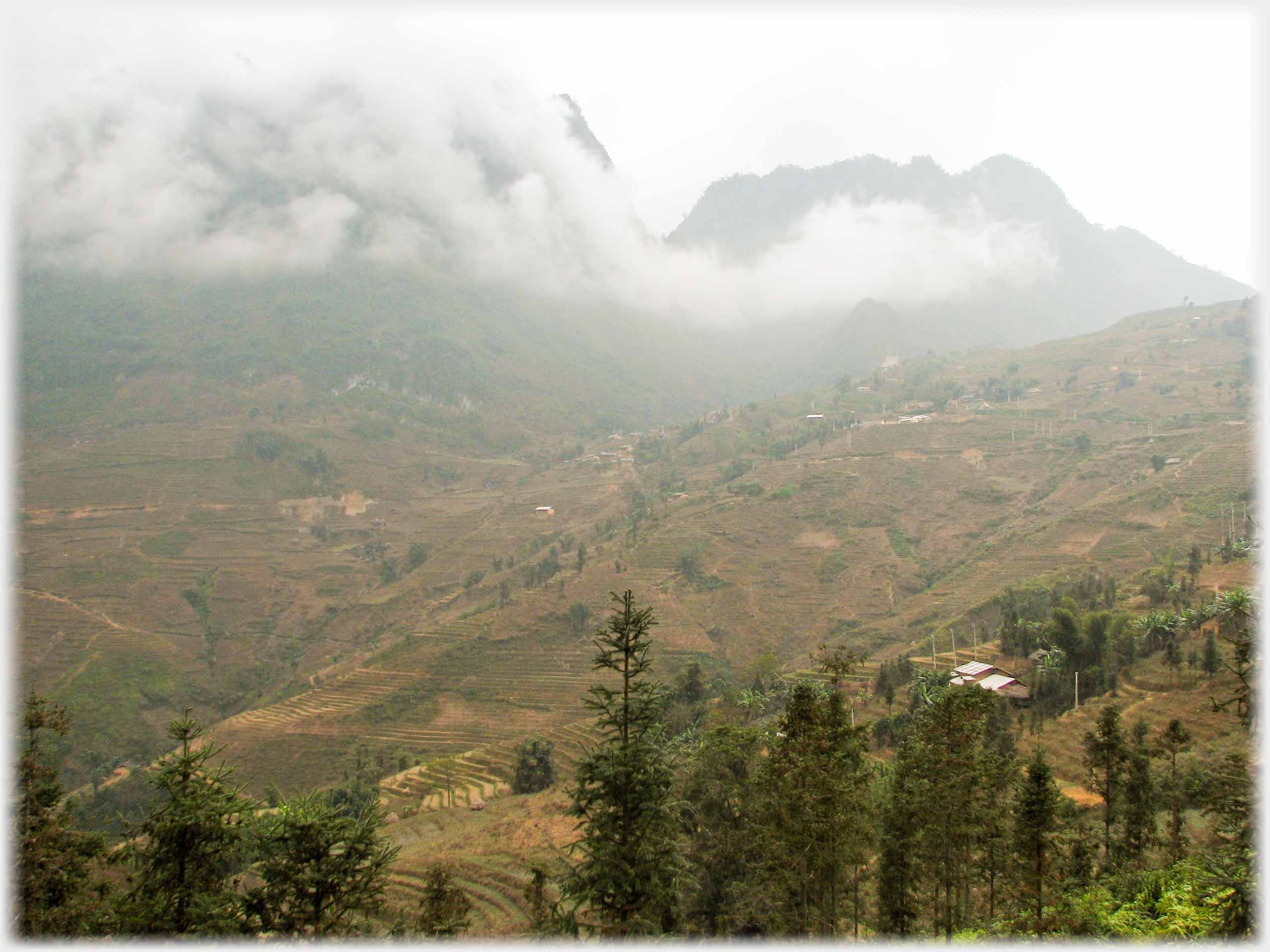 Large hillside dotted with trees and houses, cloud down the hills.