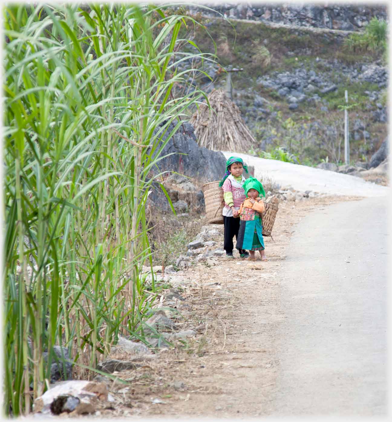 Sugar caanes dwarfing two small children at roadside.