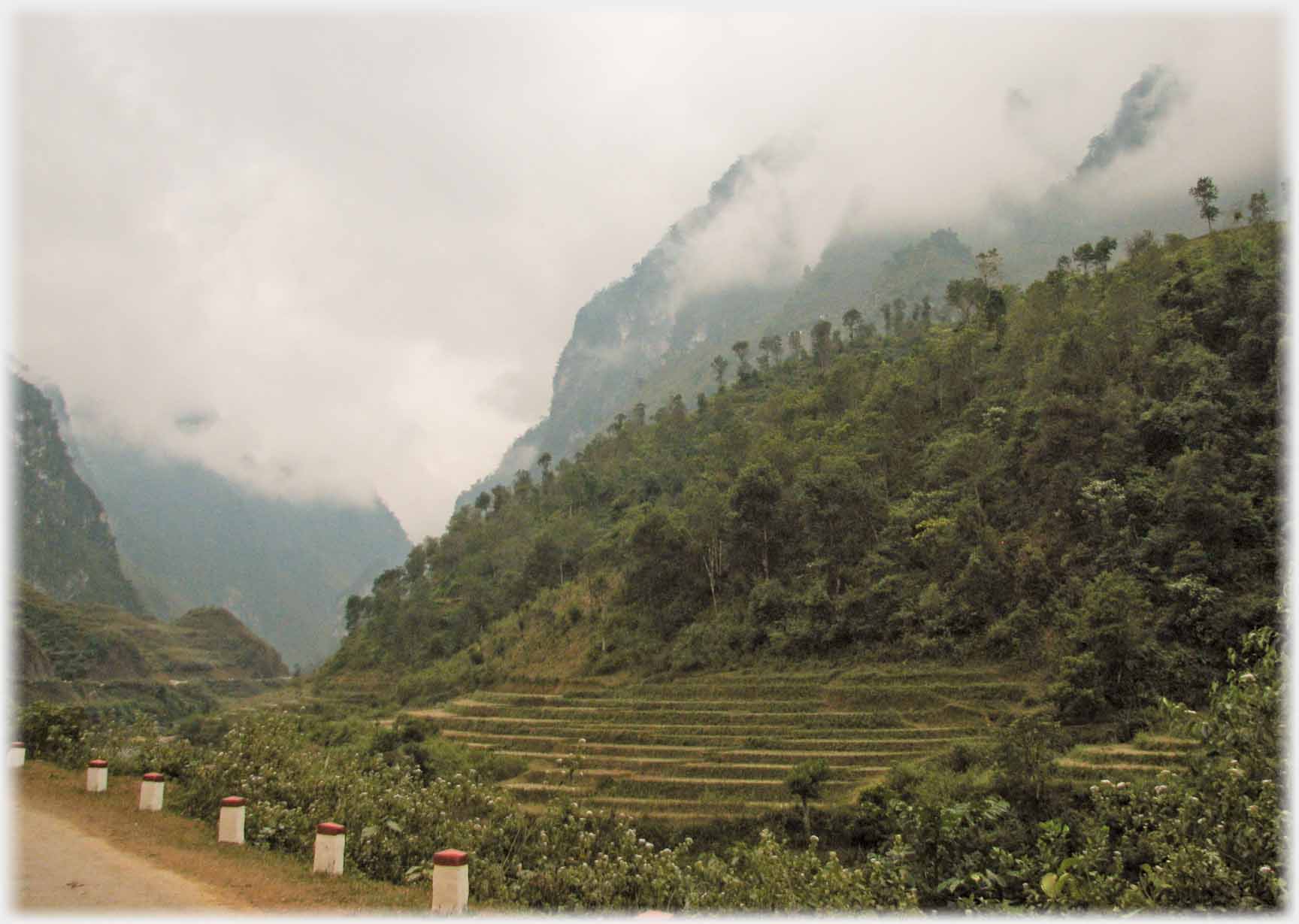 Steep hillside with terraces, low clouds and narrow valley.