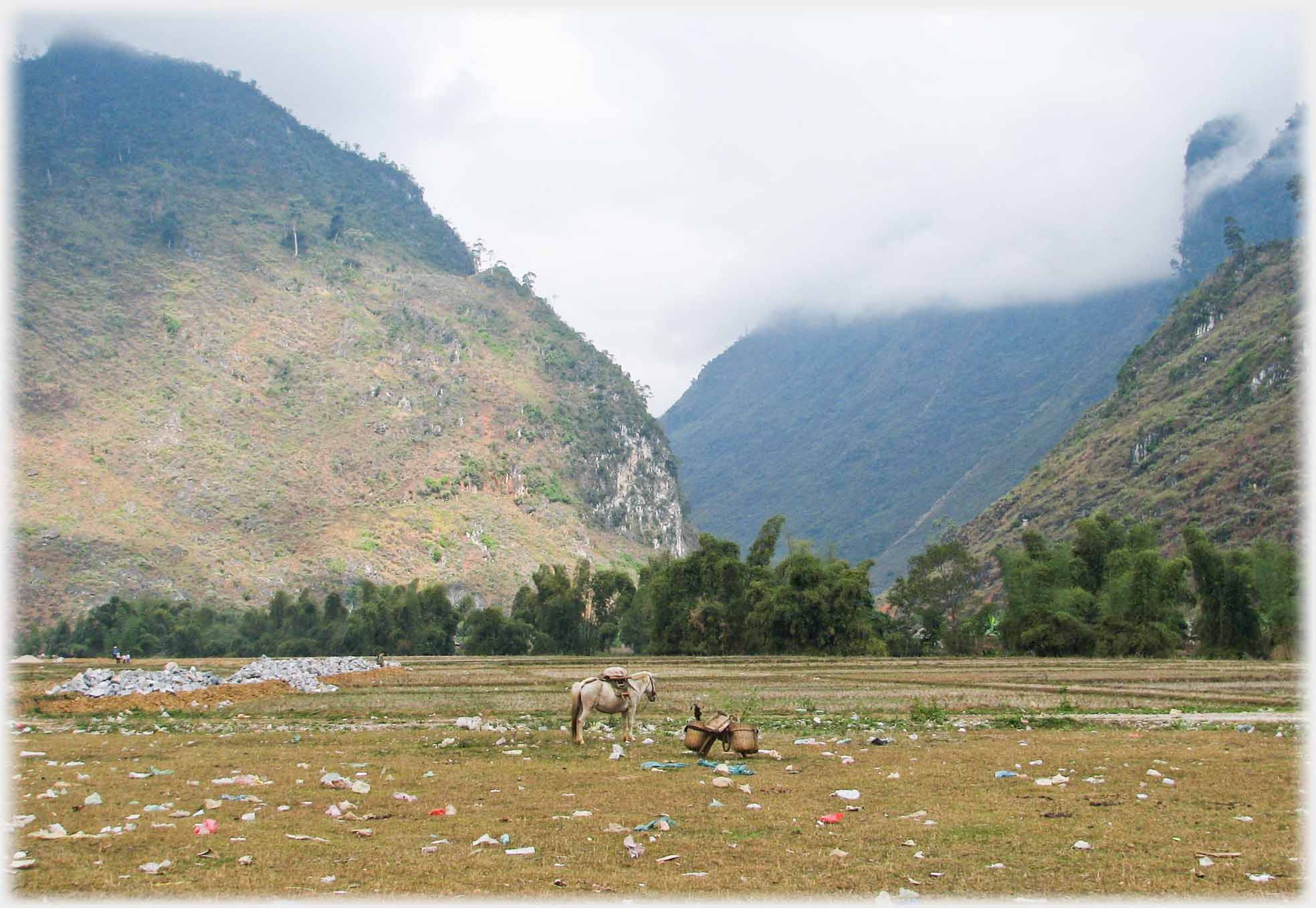 Flat ground with horse and panniers, behind steep hills and low cloud.