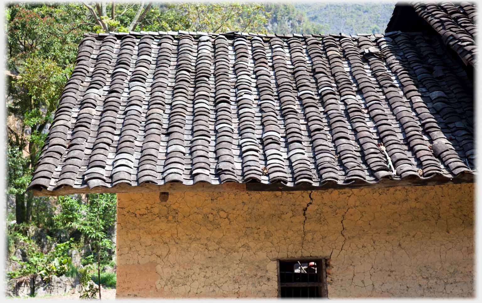 Section of pan-tiled roof.