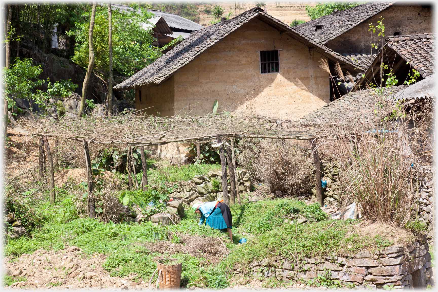 Garden by house, women bending in it.