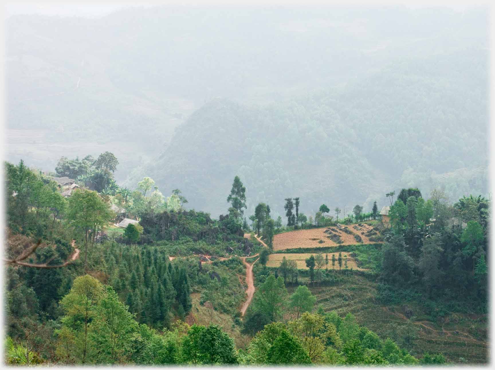 Two fields with paths and trees around them, mountains beyond.
