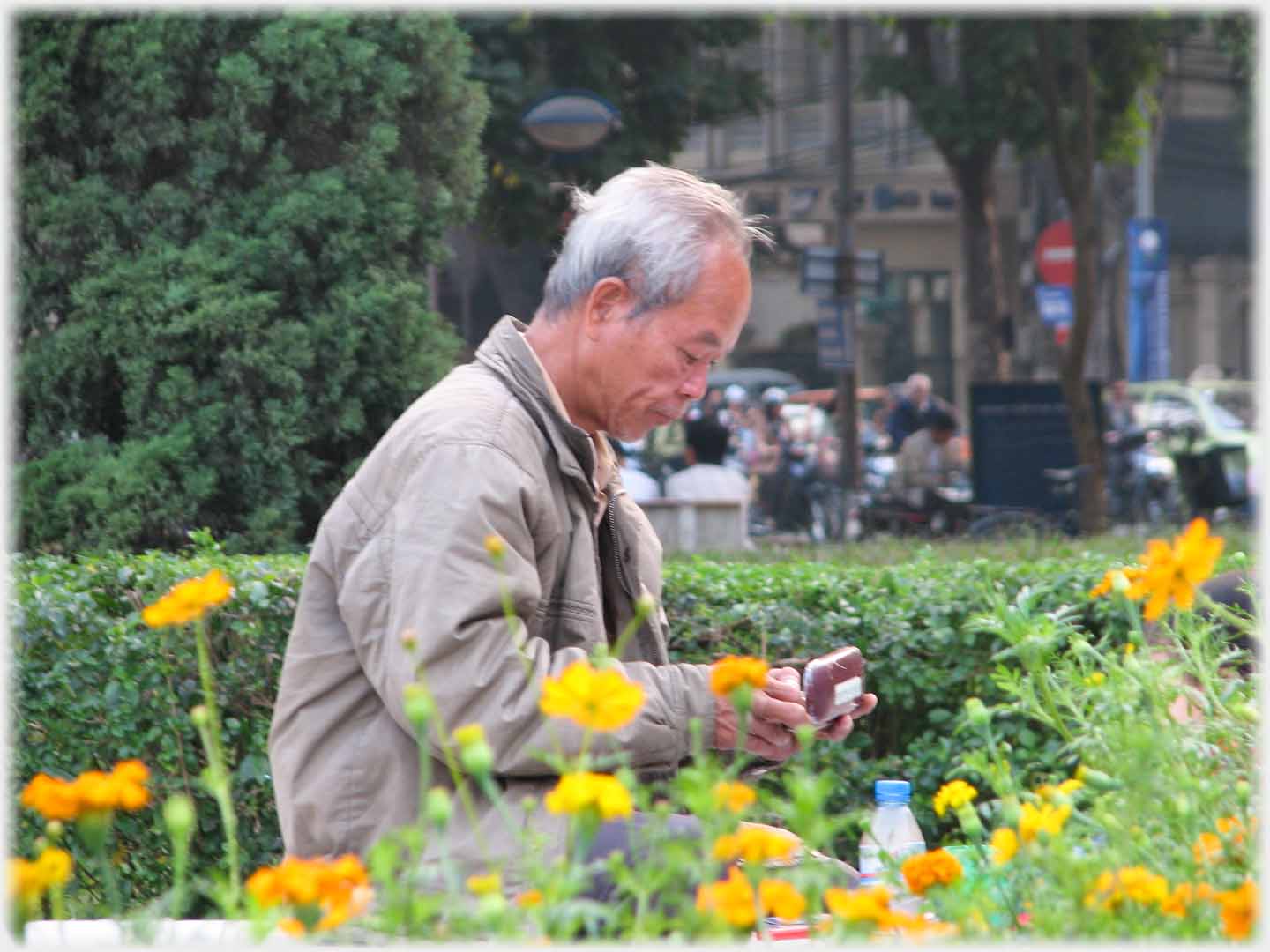 Man examining a spectacle case behind a row of flowers.