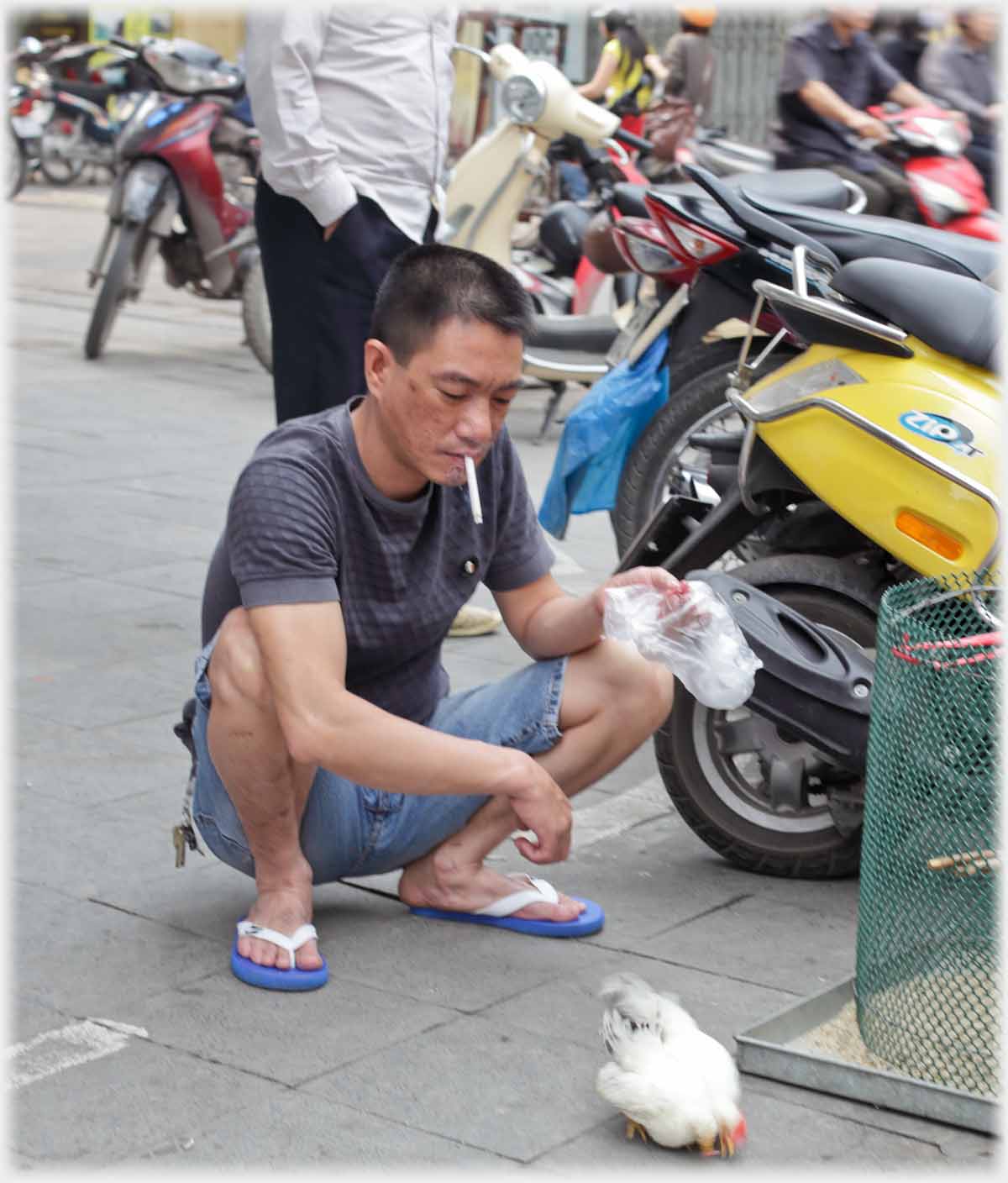 Man, cigarette in mouth, hunkered down feeding hen on pavement.