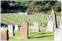 Kirkyard with lines of tombstones.