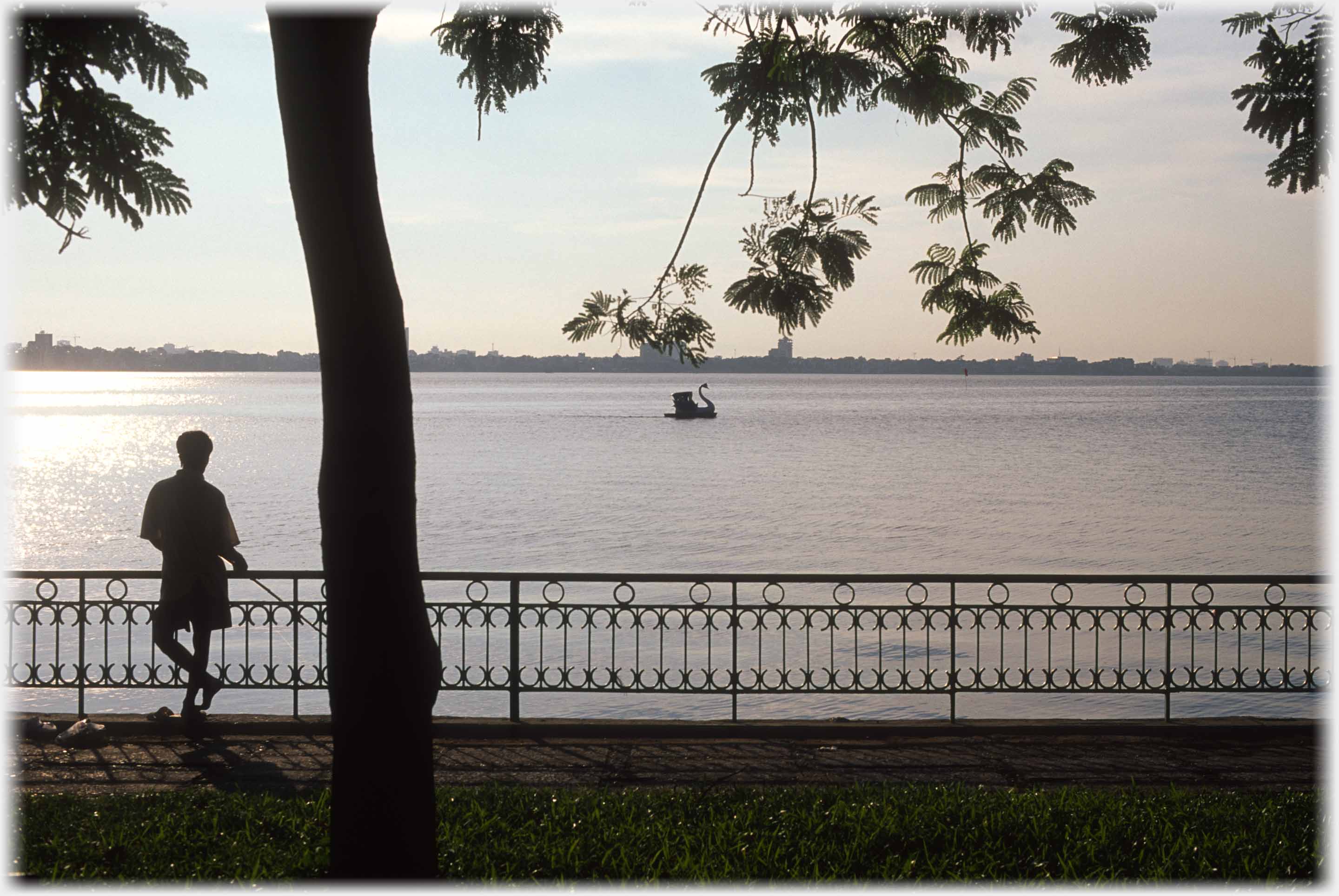 Silhouette of fisherman and tree against lake.