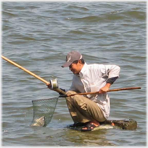 5 of 5 fish head visible in net.