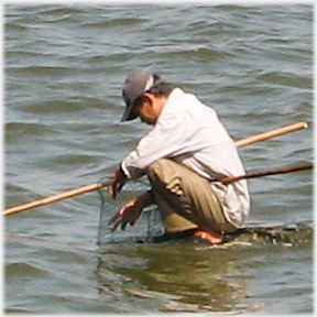 4 of 5 man reaching into net after fish.