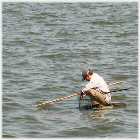 3 of 5 man looking into net to see what he has caught.