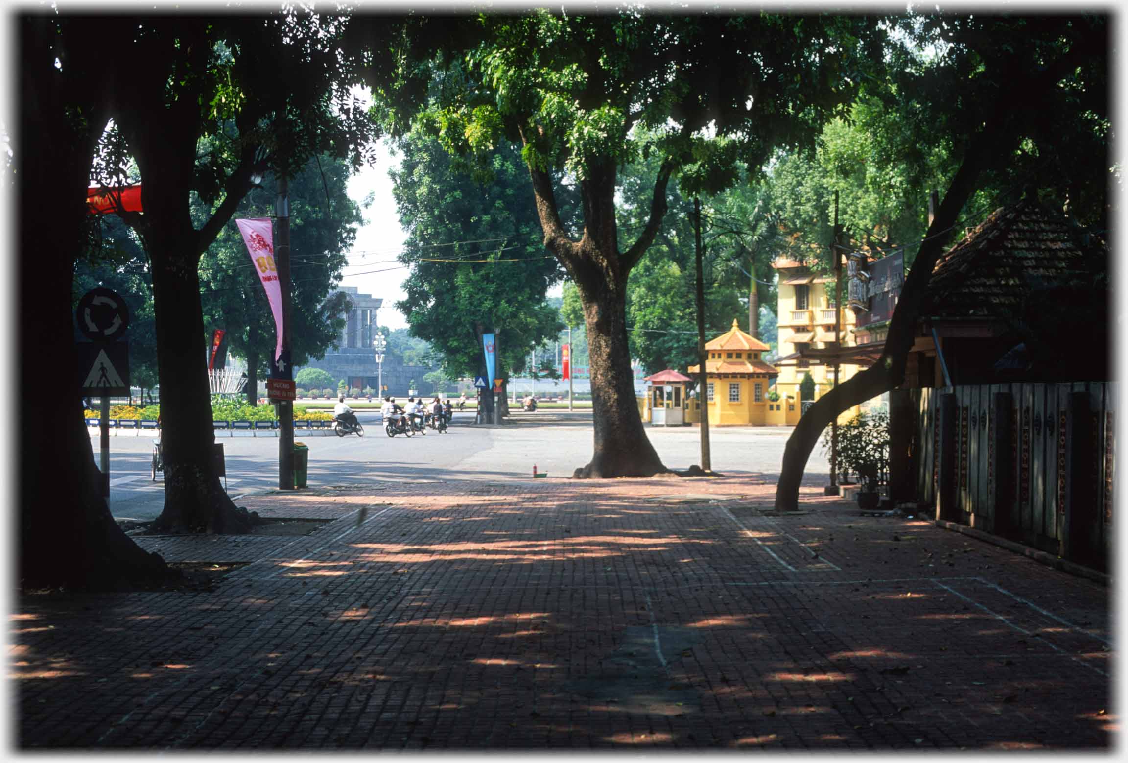 View out from under trees with open area and buildings beyond.