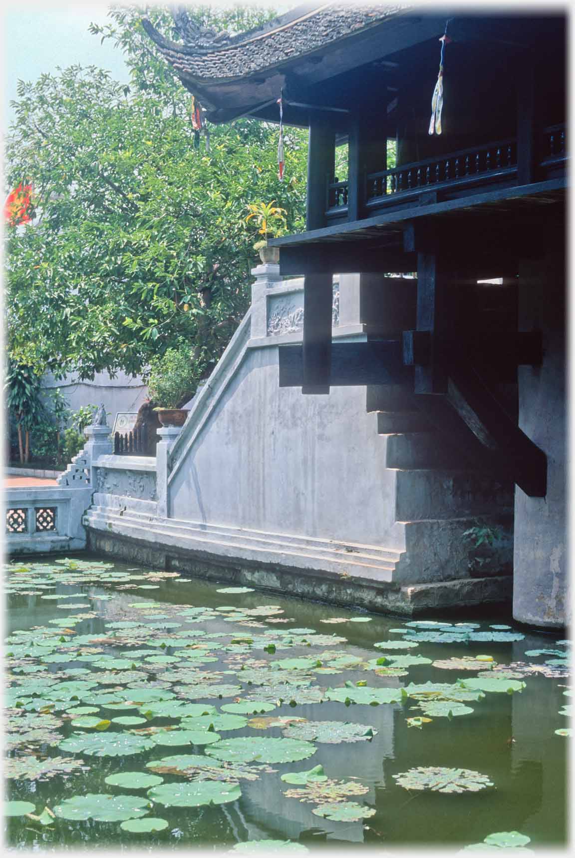 Waterlilies on pool in front of steps leading to pagoda.