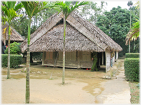 Thatched house with earth area around.