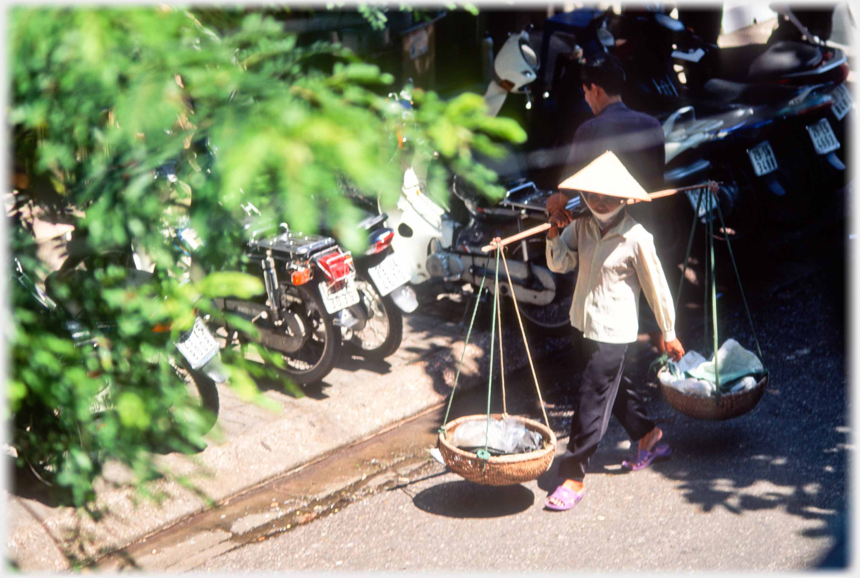 Woman walking with empty panniers beside a row of bikes under a tree.