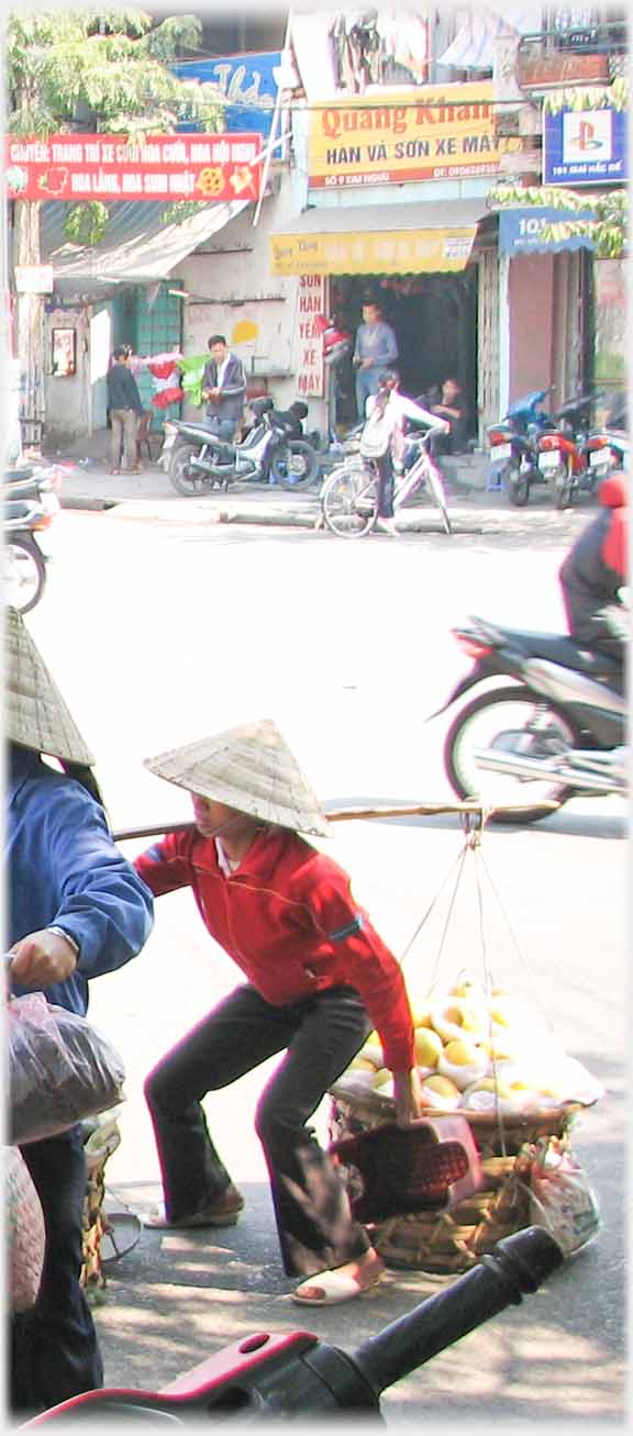 First of three shots of woman heaving heavy load of fruit off the ground.