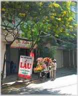 Man selling flowers from bicycle under tree.